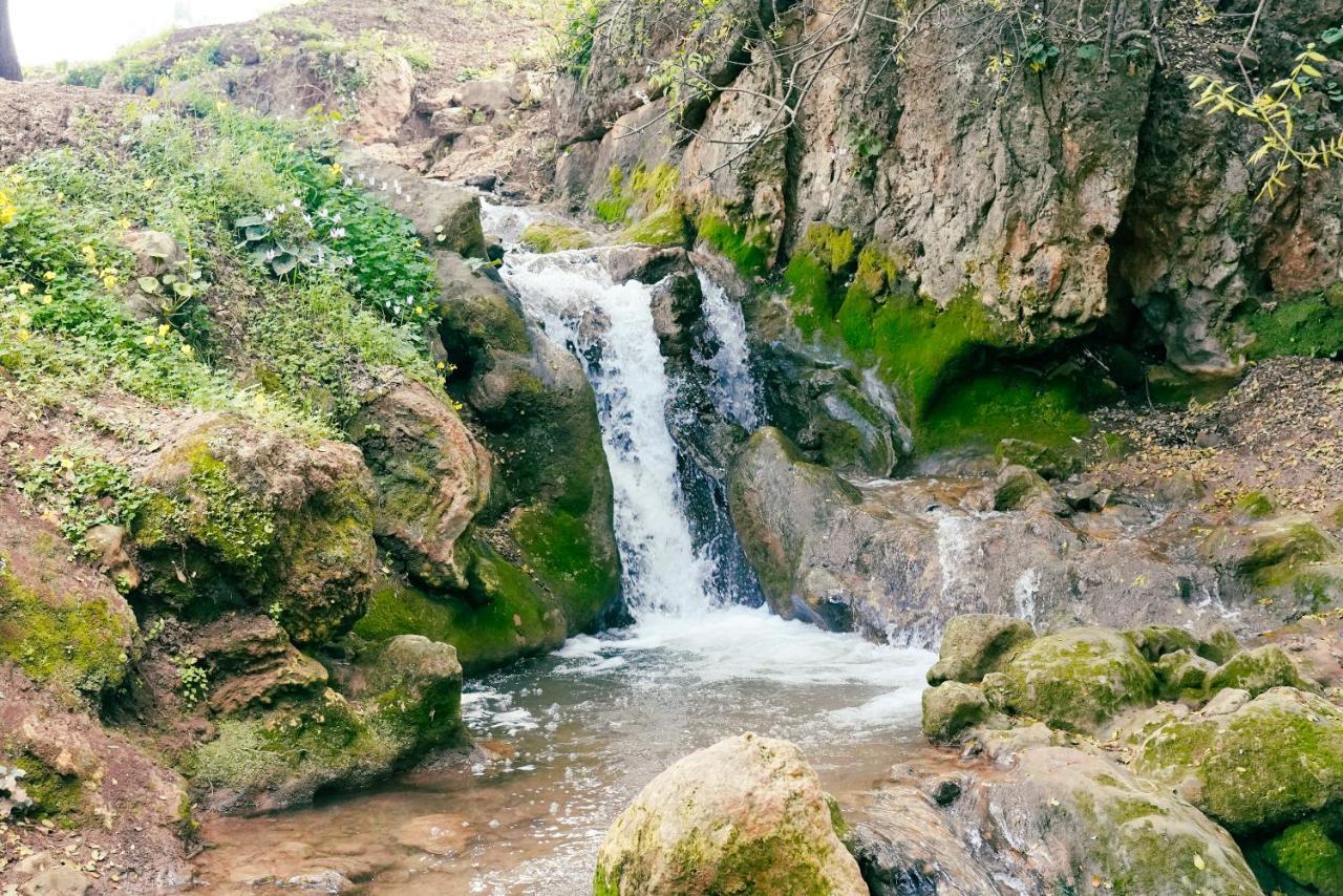 Parod Country Lodge Екстер'єр фото