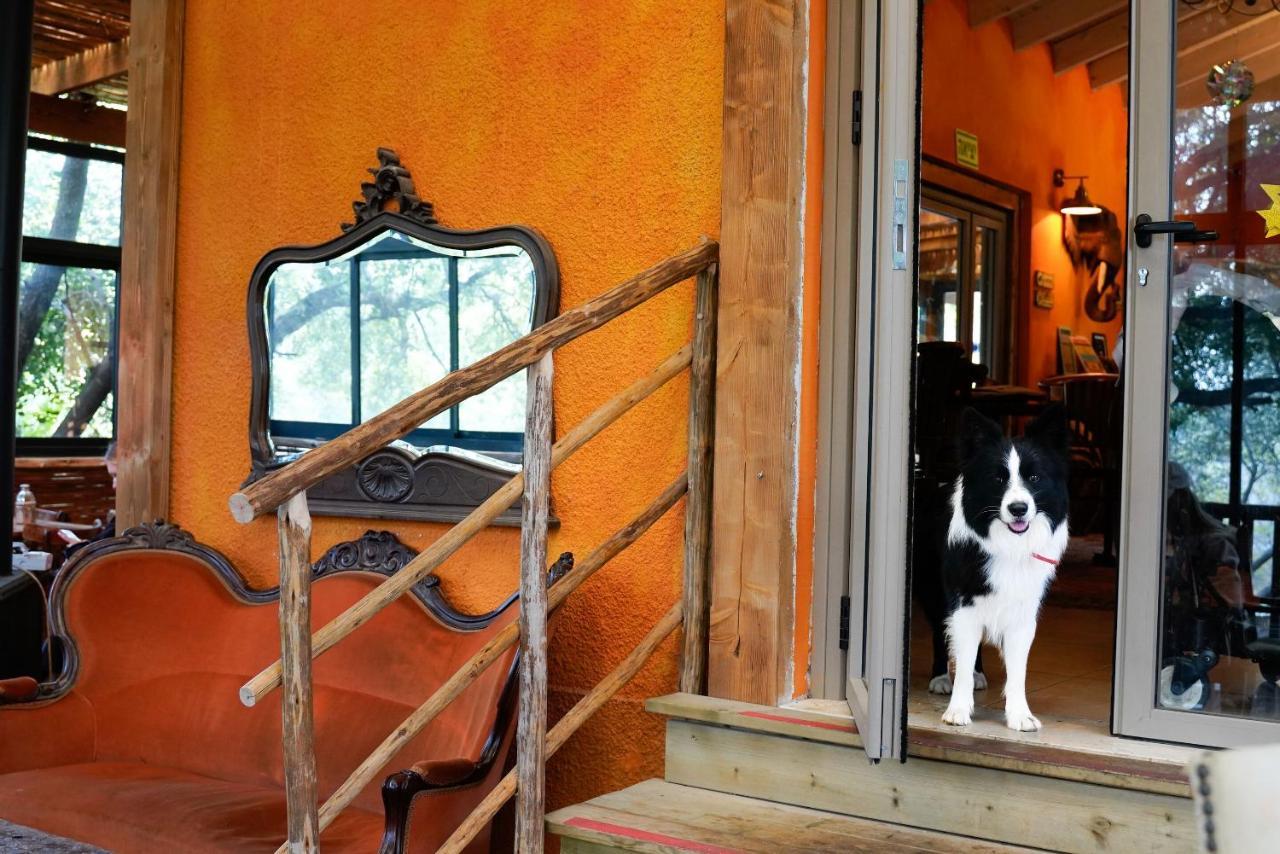 Parod Country Lodge Екстер'єр фото